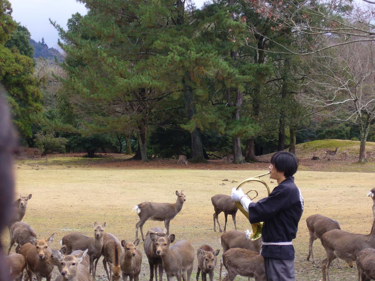 Kotonoyado Musashino Нара Экстерьер фото